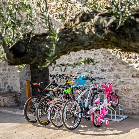 Grand Palace & 酒店 米斯特拉斯